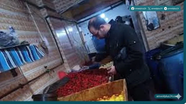 سلامة الغذاء