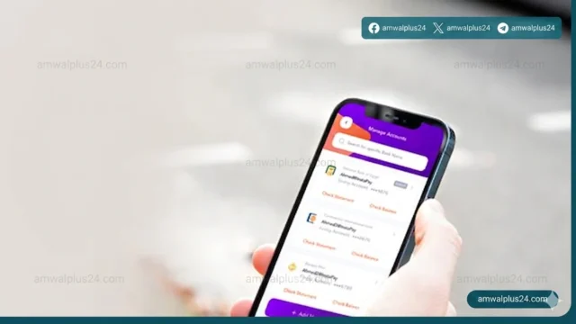 شبكة المدفوعات اللحظية