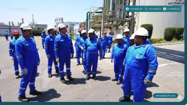 شركات البترول المصرية