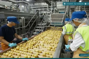 شركات قطاع الأغذية