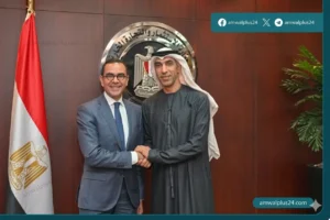 الاستثمار