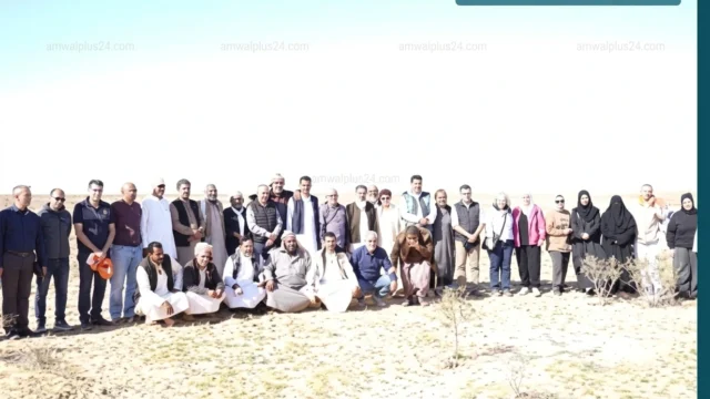 مشروع برايد