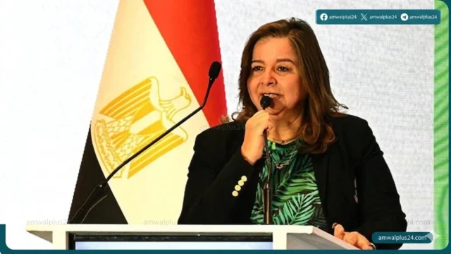 مي عبد الحميد عدم صحة
