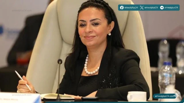وزارة التضامن الاجتماعي