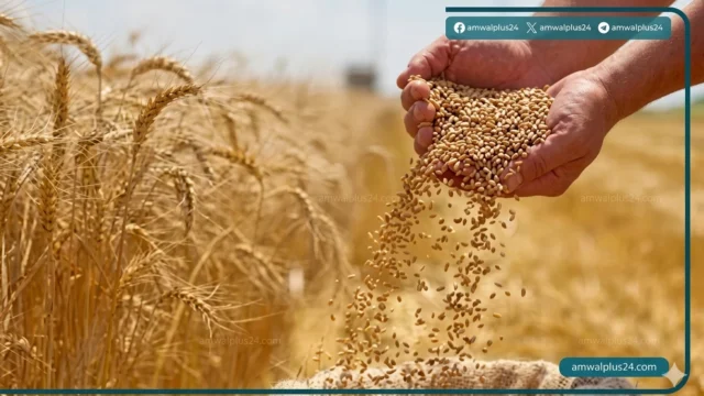 وزارة الزراعة