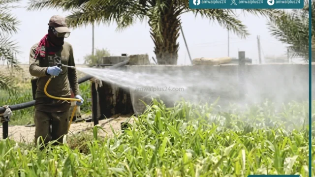 وزارة الزراعة