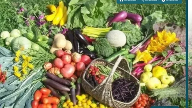 وزارة الزراعة واستصلاح