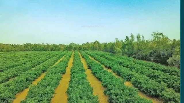 وزارة الزراعة واستصلاح الأراضي