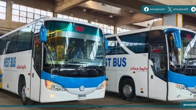 وزارة النقل