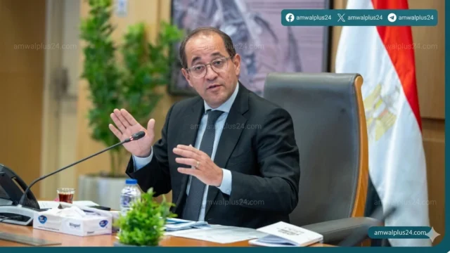 وزير المالية