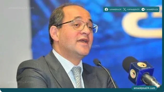 وزير المالية أحمد كجوك