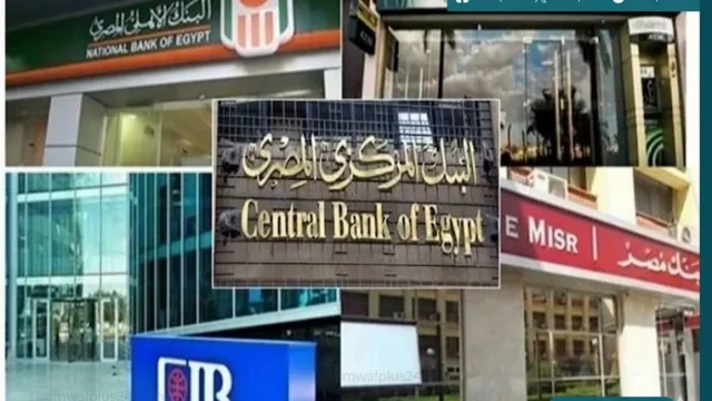البنوك المصرية