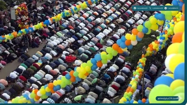 تحسن حالة الطقس في مصر مايو 2026